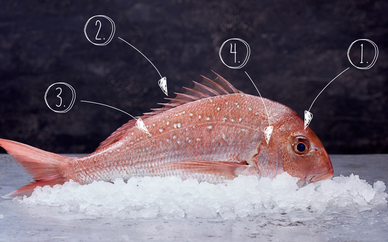 Bất cứ ai cũng c&oacute; thể ph&acirc;n biệt c&aacute; tươi với c&aacute; ươn sau khi đọc hướng dẫn 4 bước n&agrave;y- Ảnh 1.