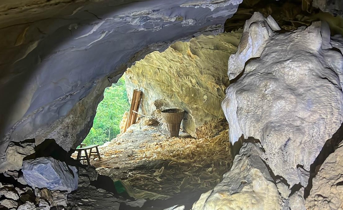 Có gì bên trong biệt thự gỗ 5 tầng 