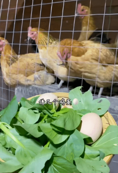 Hội chị em phát sốt trước căn bếp trong mơ của gia chủ như tổng tài - biệt phủ nghìn m² chỉ là nền!- Ảnh 9.