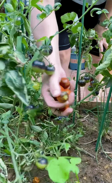 Hội chị em phát sốt trước căn bếp trong mơ của gia chủ như tổng tài - biệt phủ nghìn m² chỉ là nền!- Ảnh 7.