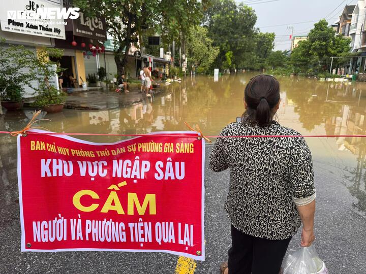 Con gái bật khóc tìm cha mẹ già mất liên lạc giữa tứ bề ngập lụt- Ảnh 2.