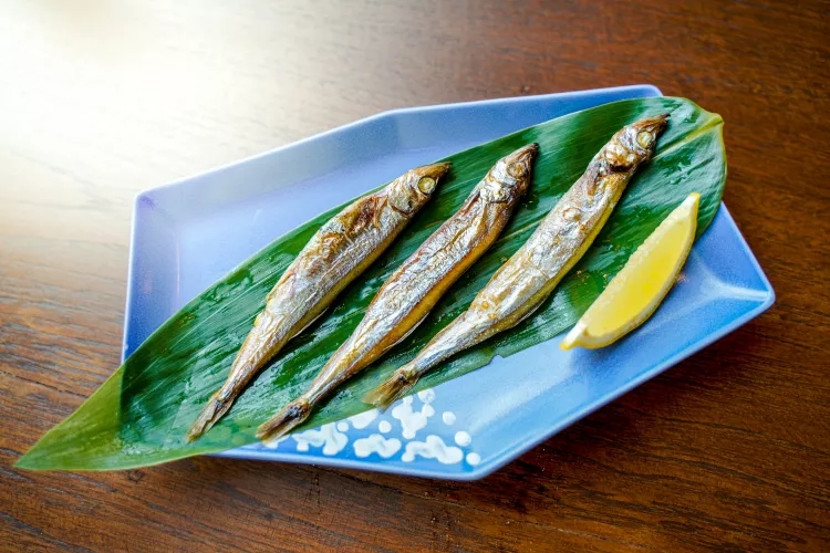 Loại cá mang lại sự trường thọ: Người Nhật rất thích ăn, biển Việt Nam rất sẵn, giá lại rẻ- Ảnh 4. Loại cá mang lại sự trường thọ: Người Nhật rất thích ăn, biển Việt Nam rất sẵn, giá lại rẻ- Ảnh 4.