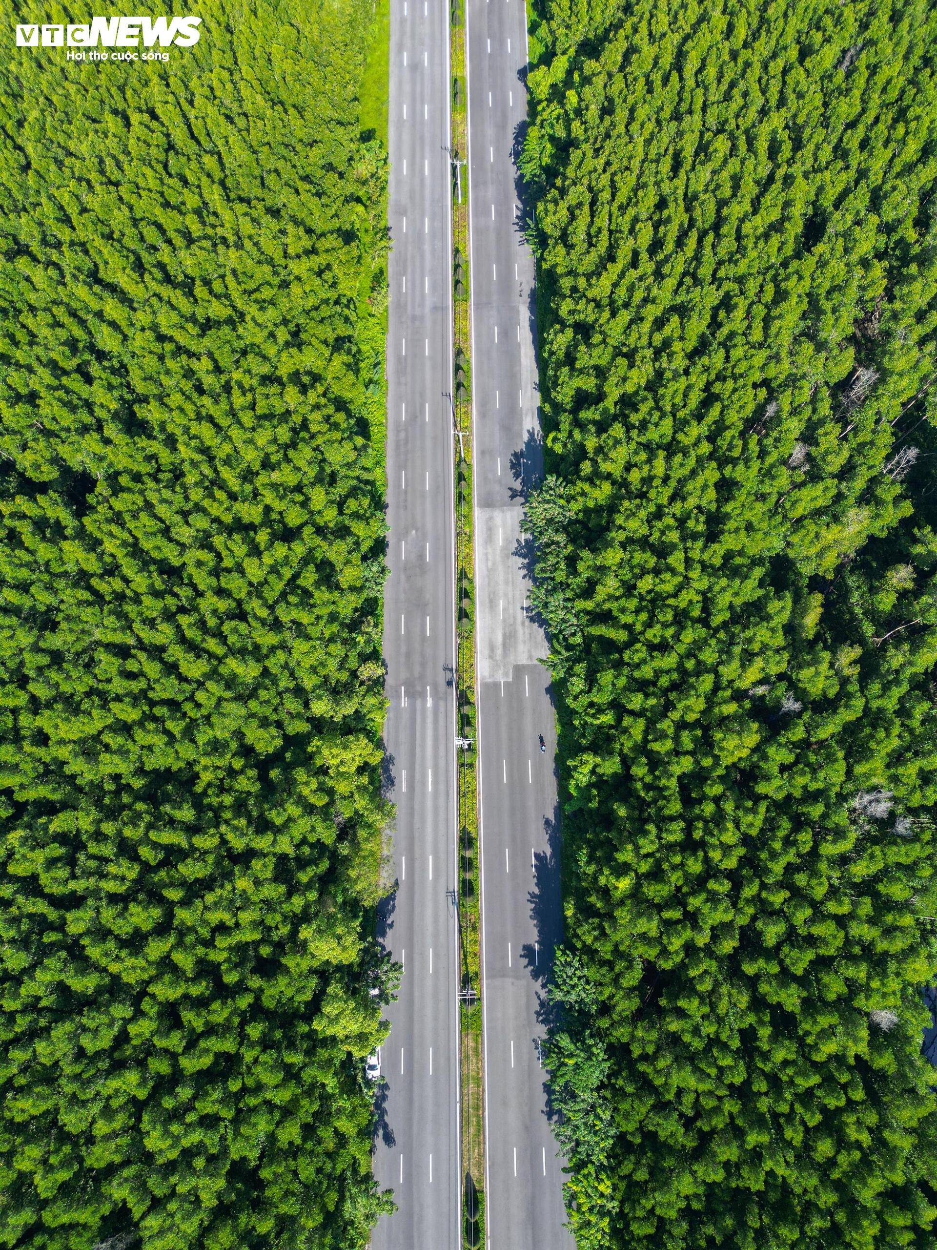 Cận cảnh vị trí dự kiến làm Metro nối trung tâm TP.HCM với siêu dự án lấn biển- Ảnh 5.