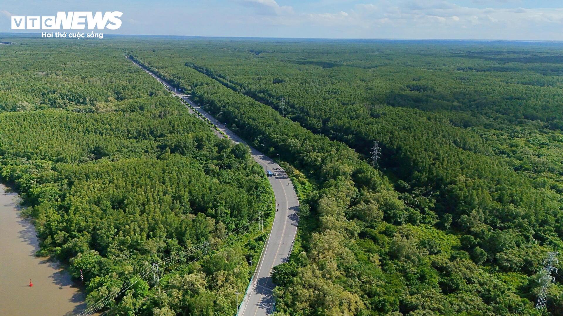 Cận cảnh vị trí dự kiến làm Metro nối trung tâm TP.HCM với siêu dự án lấn biển- Ảnh 7.