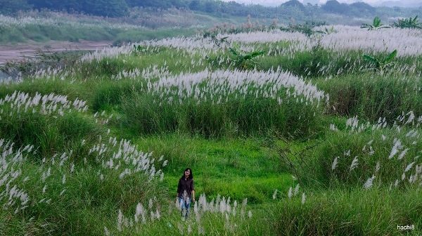 Choáng ngợp cảnh siêu dự án 7.800 ha, giá 300.000 tỷ đồng thành hiện thực, 'kỳ tích sông Hồng" ở rất gần- Ảnh 27.