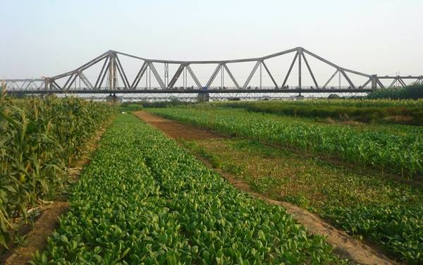 Choáng ngợp cảnh siêu dự án 7.800 ha, giá 300.000 tỷ đồng thành hiện thực, 'kỳ tích sông Hồng" ở rất gần- Ảnh 33.