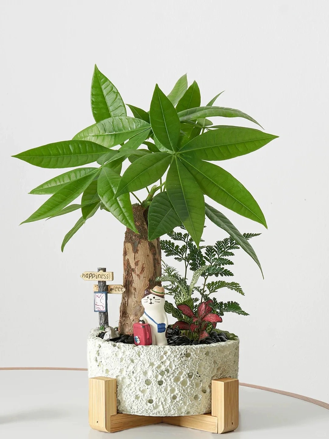 &ldquo;Trong nh&agrave; c&oacute; một c&acirc;y, cả nh&agrave; ấm no": 5 loại c&acirc;y nội thất đẹp, dễ sống, tăng sinh kh&iacute; cho tổ ấm- Ảnh 5.