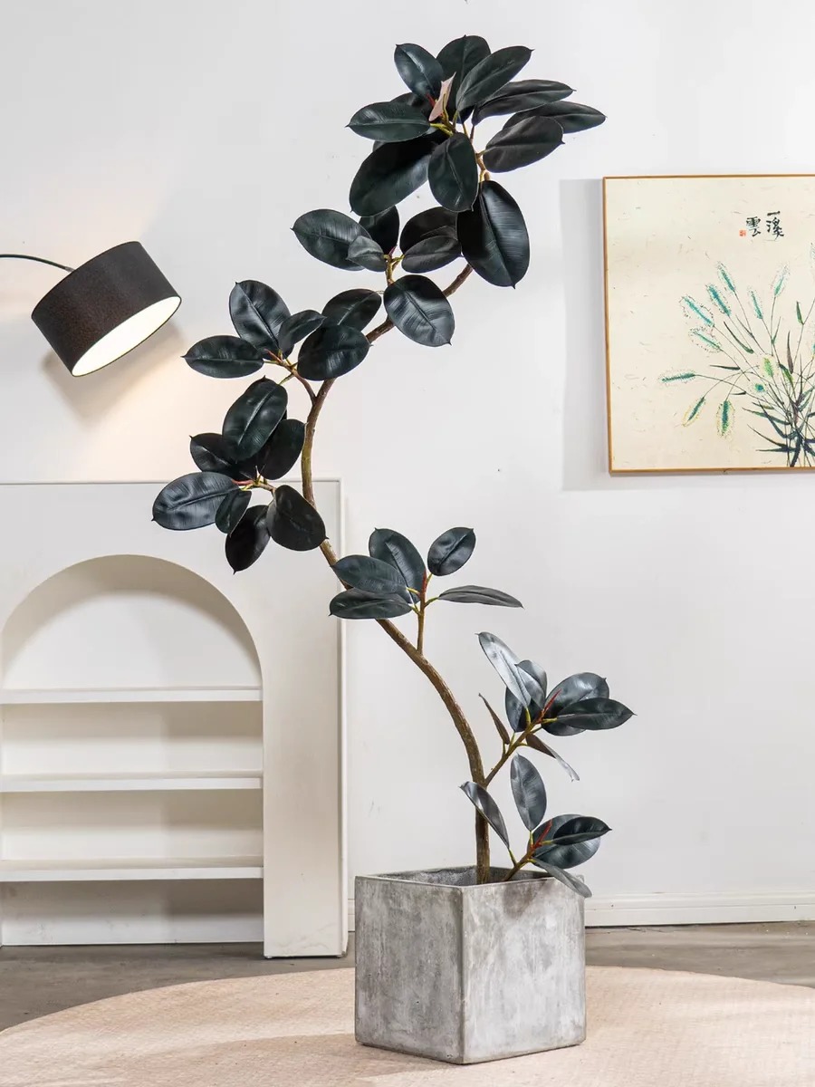 &ldquo;Trong nh&agrave; c&oacute; một c&acirc;y, cả nh&agrave; ấm no": 5 loại c&acirc;y nội thất đẹp, dễ sống, tăng sinh kh&iacute; cho tổ ấm- Ảnh 7.