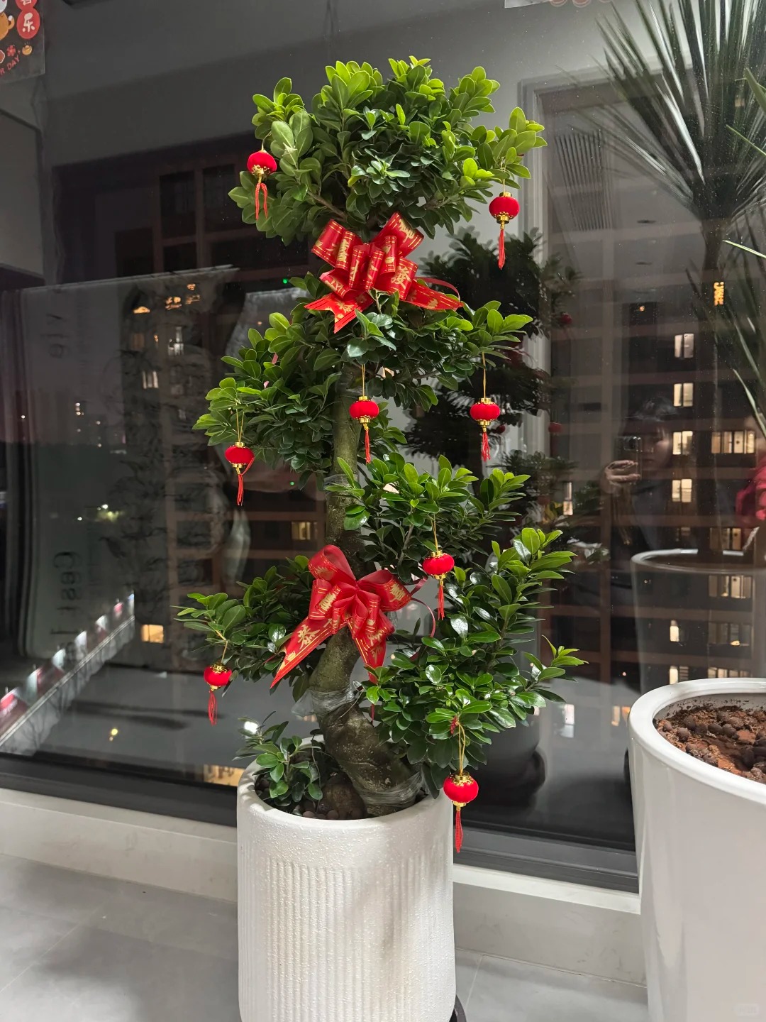 &ldquo;Trong nh&agrave; c&oacute; một c&acirc;y, cả nh&agrave; ấm no": 5 loại c&acirc;y nội thất đẹp, dễ sống, tăng sinh kh&iacute; cho tổ ấm- Ảnh 12.