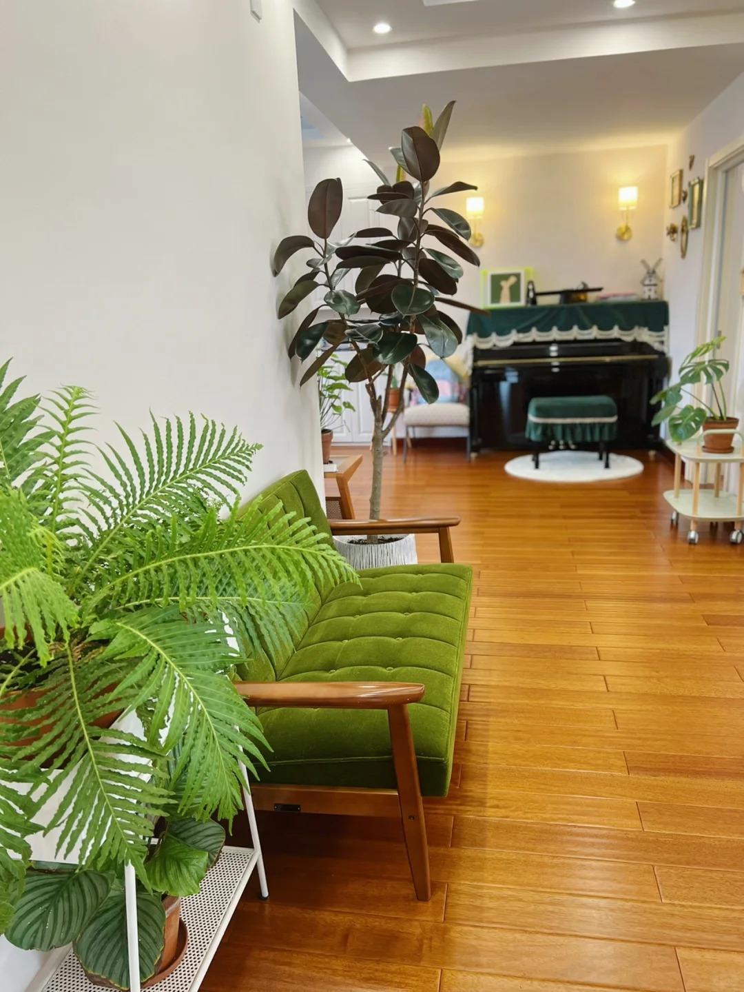 &ldquo;Trong nh&agrave; c&oacute; một c&acirc;y, cả nh&agrave; ấm no": 5 loại c&acirc;y nội thất đẹp, dễ sống, tăng sinh kh&iacute; cho tổ ấm- Ảnh 6.