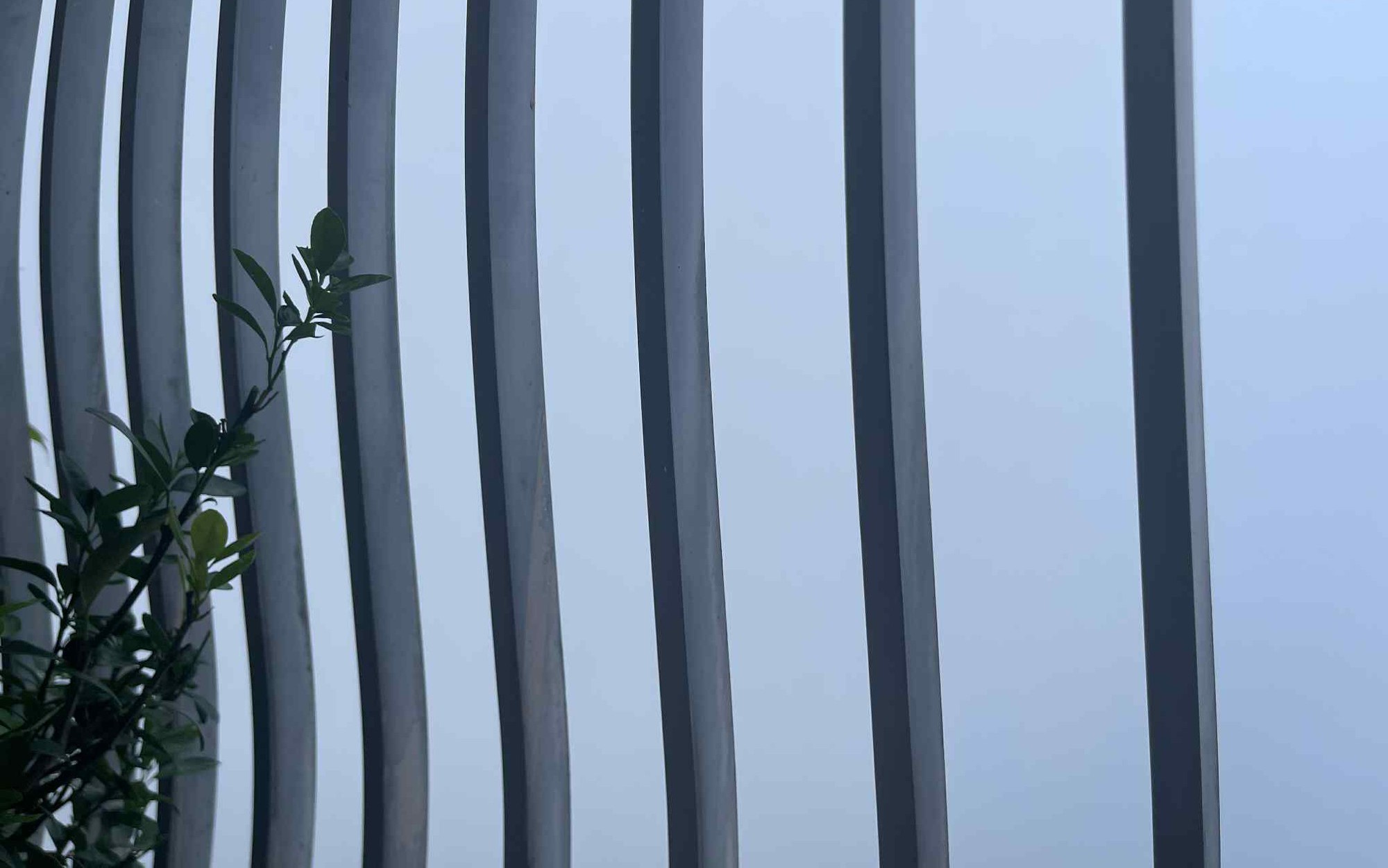 H&agrave; Nội s&aacute;ng nay sương m&ugrave; d&agrave;y đặc