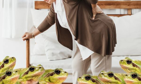 Cụ b&agrave; Trung Quốc 82 tuổi nuốt 8 con ếch sống để chữa đau lưng - Kết cục nhập viện cấp cứu v&igrave; nhiễm k&yacute; sinh tr&ugrave;ng- Ảnh 2.