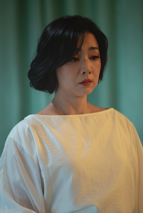 Nữ NSND 69 tuổi tuyên bố về Đàm Vĩnh Hưng- Ảnh 5. Nữ NSND 69 tuổi tuyên bố về Đàm Vĩnh Hưng- Ảnh 5.