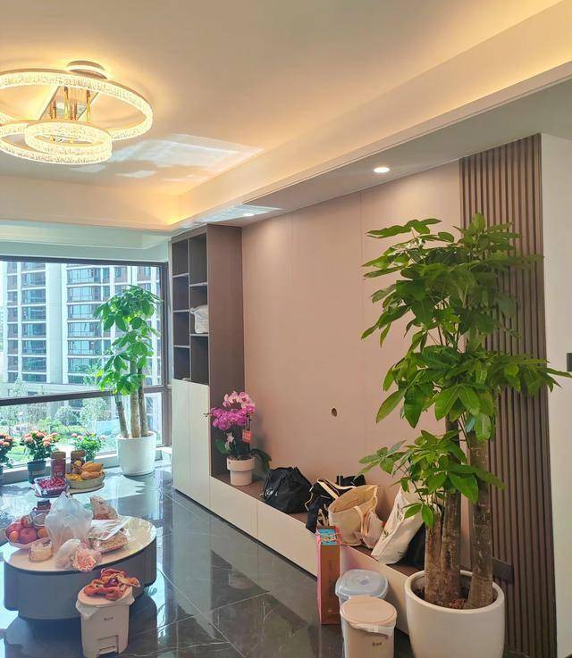 &ldquo;Trong nh&agrave; c&oacute; một c&acirc;y, cả nh&agrave; ấm no": 5 loại c&acirc;y nội thất đẹp, dễ sống, tăng sinh kh&iacute; cho tổ ấm- Ảnh 1.