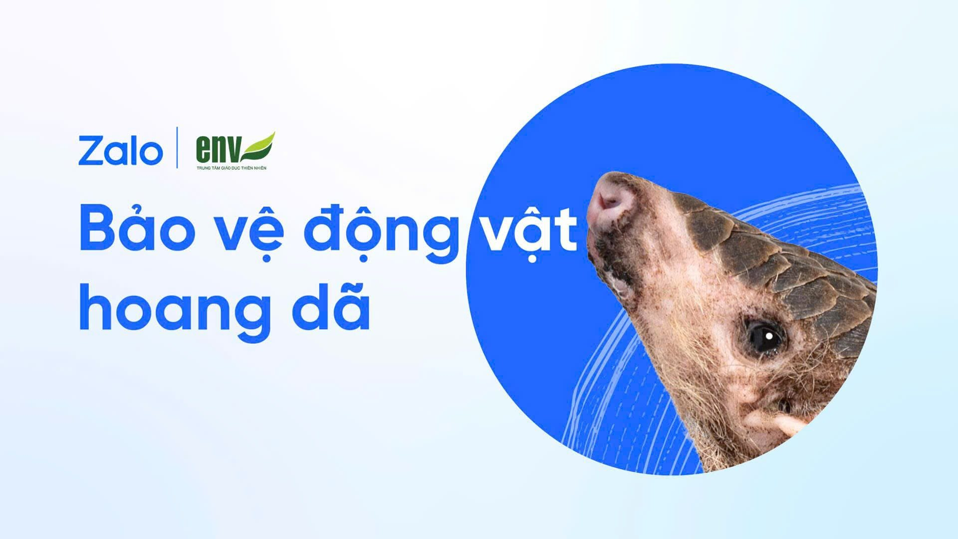 Zalo Vừa Có Thay Đổi Mới, Người Dùng Cập Nhật Ngay Kẻo Mất Quyền Lợi- Ảnh 4. Zalo Vừa Có Thay Đổi Mới, Người Dùng Cập Nhật Ngay Kẻo Mất Quyền Lợi- Ảnh 4.
