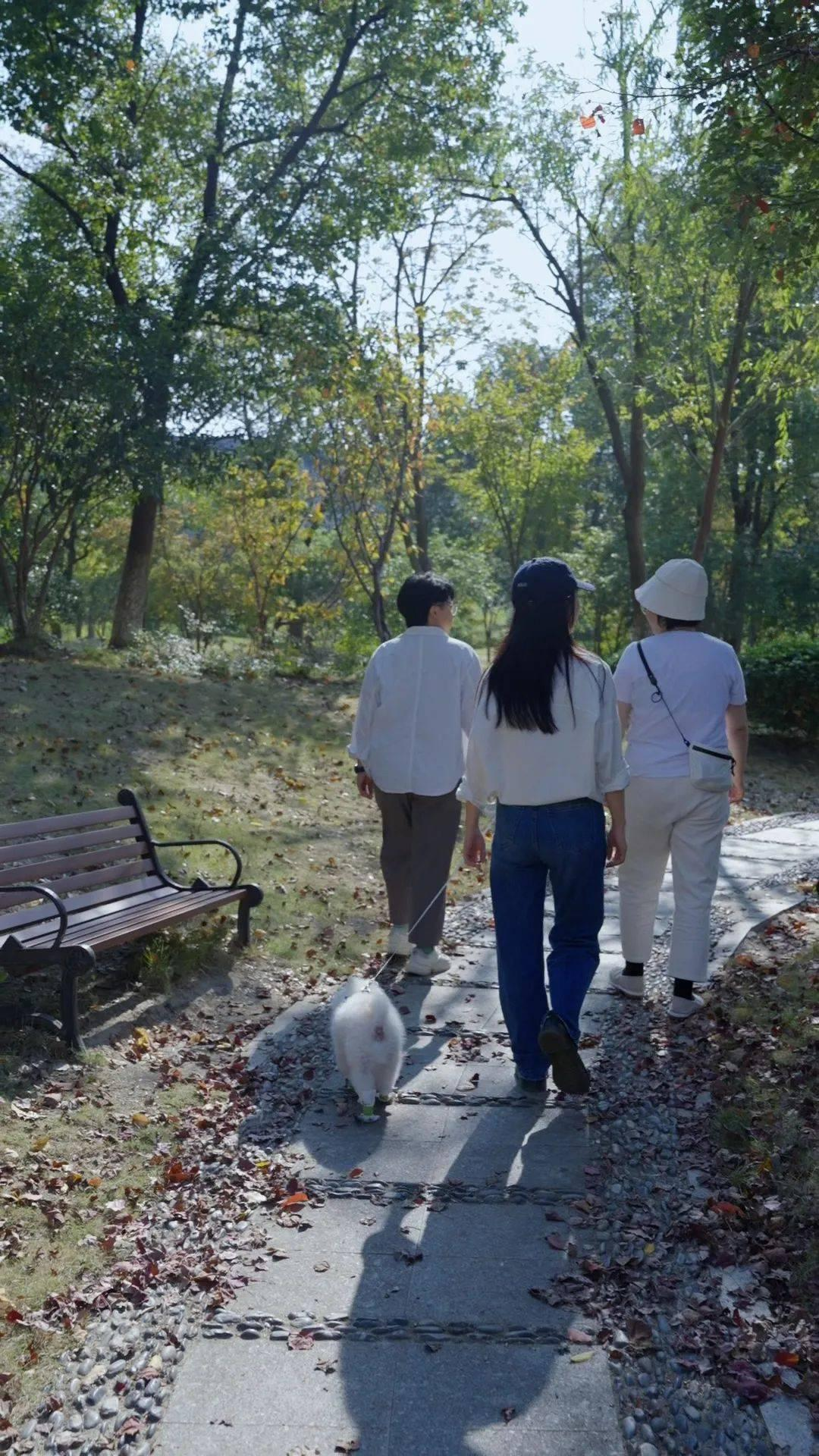 photo-1760002210002 photo-1760002210002