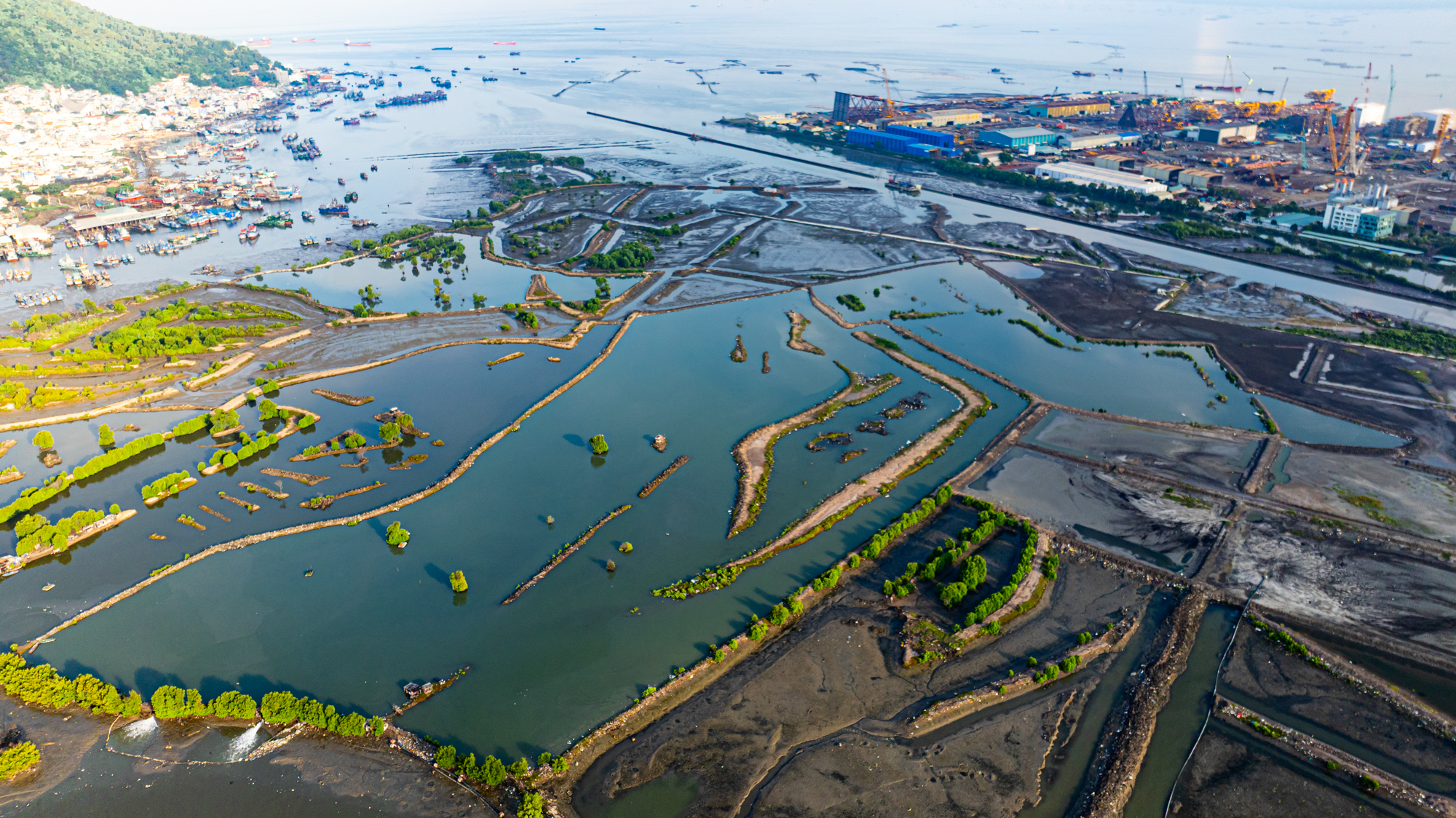 Toàn cảnh khu đất hiếm hoi rộng đến 110 ha còn sót lại ở trung tâm Vũng Tàu đang được SunGroup nhắm đến- Ảnh 5. Toàn cảnh khu đất hiếm hoi rộng đến 110 ha còn sót lại ở trung tâm Vũng Tàu đang được SunGroup nhắm đến- Ảnh 5.