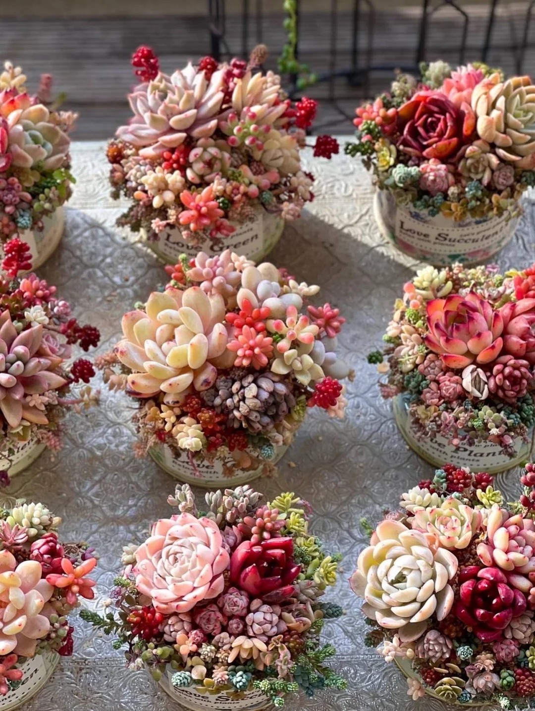 Sinh mùa hè dễ khuyết Thủy: Vì sao muốn “đổi vận” nên trồng cây sen đá?- Ảnh 3. Sinh mùa hè dễ khuyết Thủy: Vì sao muốn “đổi vận” nên trồng cây sen đá?- Ảnh 3.