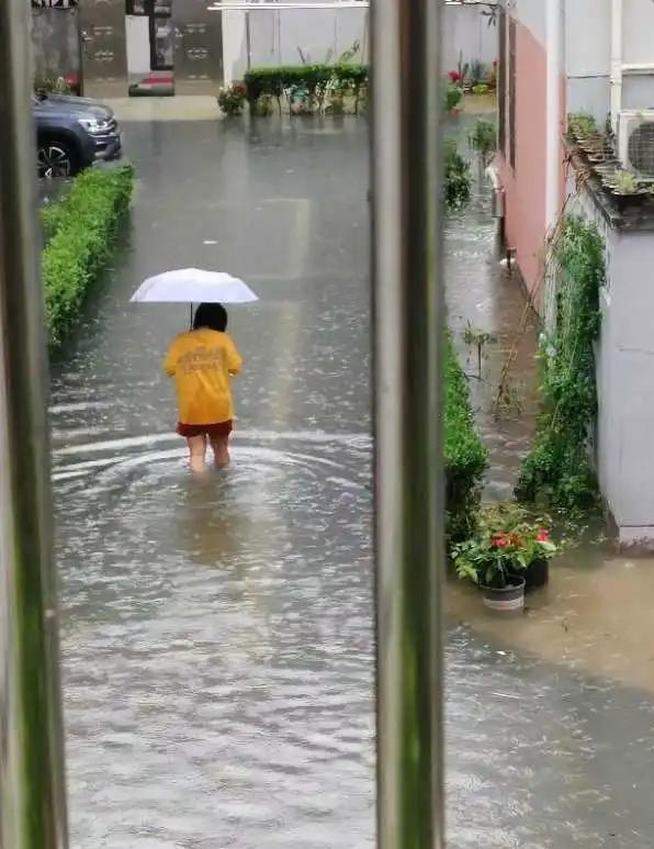 T&ocirc;i mất gần 40 triệu chỉ sau một trận mưa: B&agrave;i học đắt gi&aacute; khi mua căn hộ tầng một v&igrave; tưởng 