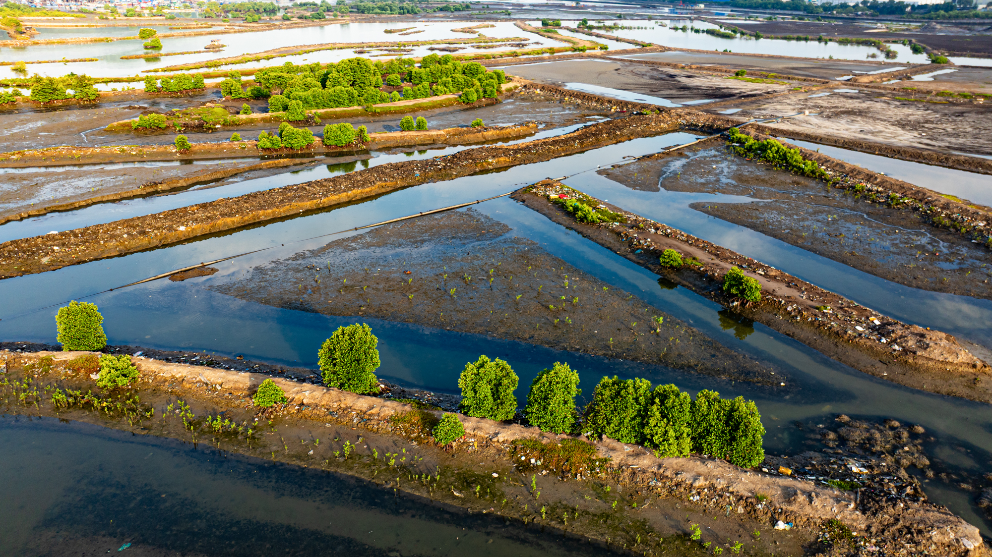 Toàn cảnh khu đất hiếm hoi rộng đến 110 ha còn sót lại ở trung tâm Vũng Tàu đang được SunGroup nhắm đến- Ảnh 8. Toàn cảnh khu đất hiếm hoi rộng đến 110 ha còn sót lại ở trung tâm Vũng Tàu đang được SunGroup nhắm đến- Ảnh 8.