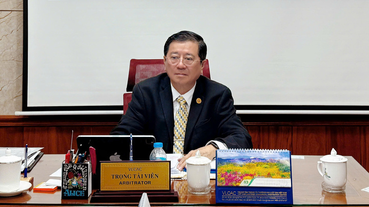 Góc nhìn pháp lý vụ diễn viên Trương Ngọc Ánh bị khởi tố, bắt giam- Ảnh 1.