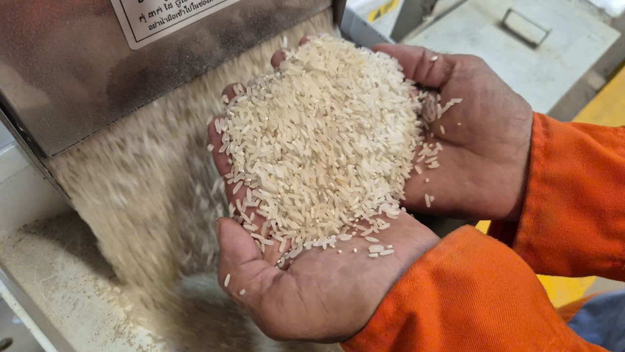 Những loại gạo nào có cơ hội ở thị trường nhập khẩu gạo tới 90%?- Ảnh 1.