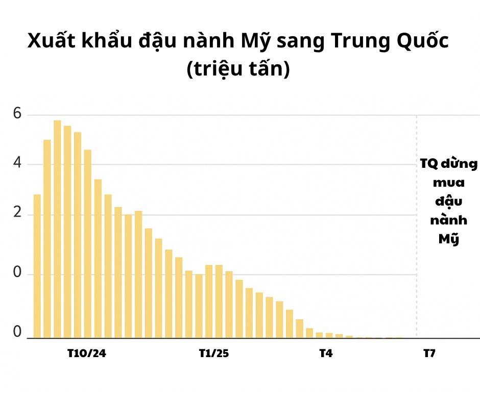Dày công ‘luyện võ’ 7 năm, Trung Quốc sử dụng chính đòn thương mại của Mỹ để ‘chiến’ với Washington, khiến nền kinh tế lớn nhất thế giới lâm cảnh gậy ông đập lưng ông- Ảnh 4.
