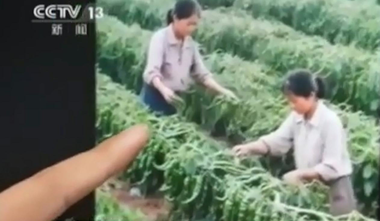 “Hồi sinh” người chết dậy bán trà, nhà vô địch Olympic đi bán trứng gà: 