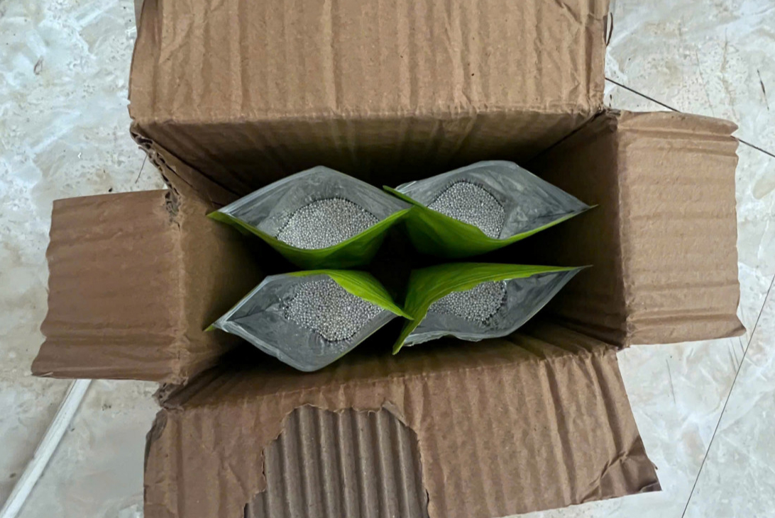 Cất giấu 20 kg bạc dưới đế giày vận chuyển qua biên giới- Ảnh 2.