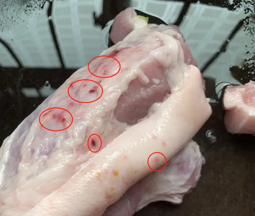 4 loại thịt đáng lẽ phải BỊ CẤM từ lâu, vậy mà nhiều người vẫn ăn- Ảnh 3.