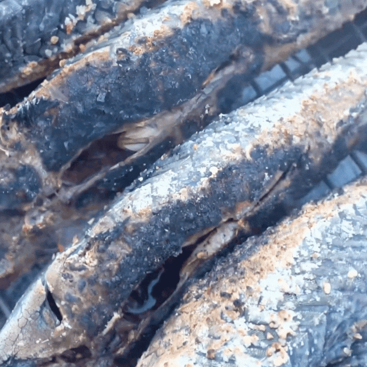 "Thủy quái thời tiền sử" được hội Tiktoker rần rần mukbang gây sốt cộng đồng mạng- Ảnh 13. "Thủy quái thời tiền sử" được hội Tiktoker rần rần mukbang gây sốt cộng đồng mạng- Ảnh 13.