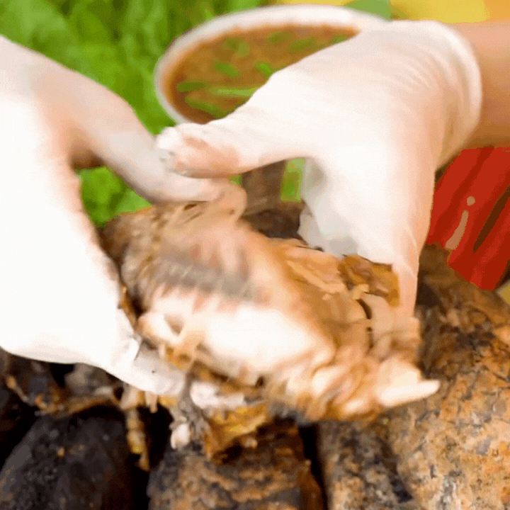 "Thủy quái thời tiền sử" được hội Tiktoker rần rần mukbang gây sốt cộng đồng mạng- Ảnh 14. "Thủy quái thời tiền sử" được hội Tiktoker rần rần mukbang gây sốt cộng đồng mạng- Ảnh 14.