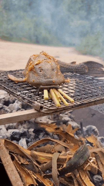 "Thủy quái thời tiền sử" được hội Tiktoker rần rần mukbang gây sốt cộng đồng mạng- Ảnh 18. "Thủy quái thời tiền sử" được hội Tiktoker rần rần mukbang gây sốt cộng đồng mạng- Ảnh 18.