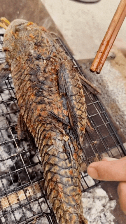 "Thủy quái thời tiền sử" được hội Tiktoker rần rần mukbang gây sốt cộng đồng mạng- Ảnh 19. "Thủy quái thời tiền sử" được hội Tiktoker rần rần mukbang gây sốt cộng đồng mạng- Ảnh 19.