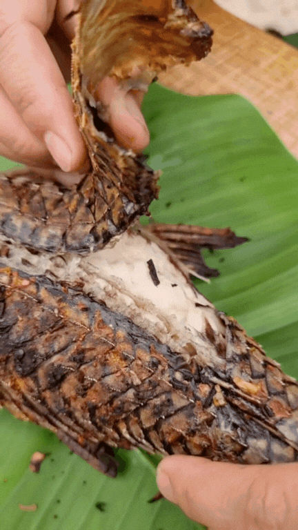 "Thủy quái thời tiền sử" được hội Tiktoker rần rần mukbang gây sốt cộng đồng mạng- Ảnh 20. "Thủy quái thời tiền sử" được hội Tiktoker rần rần mukbang gây sốt cộng đồng mạng- Ảnh 20.