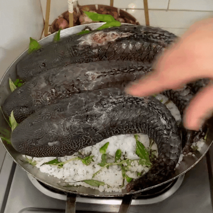 "Thủy quái thời tiền sử" được hội Tiktoker rần rần mukbang gây sốt cộng đồng mạng- Ảnh 8. "Thủy quái thời tiền sử" được hội Tiktoker rần rần mukbang gây sốt cộng đồng mạng- Ảnh 8.