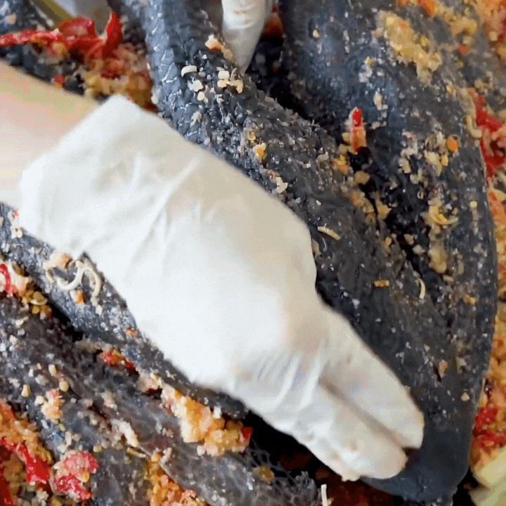 "Thủy quái thời tiền sử" được hội Tiktoker rần rần mukbang gây sốt cộng đồng mạng- Ảnh 12. "Thủy quái thời tiền sử" được hội Tiktoker rần rần mukbang gây sốt cộng đồng mạng- Ảnh 12.