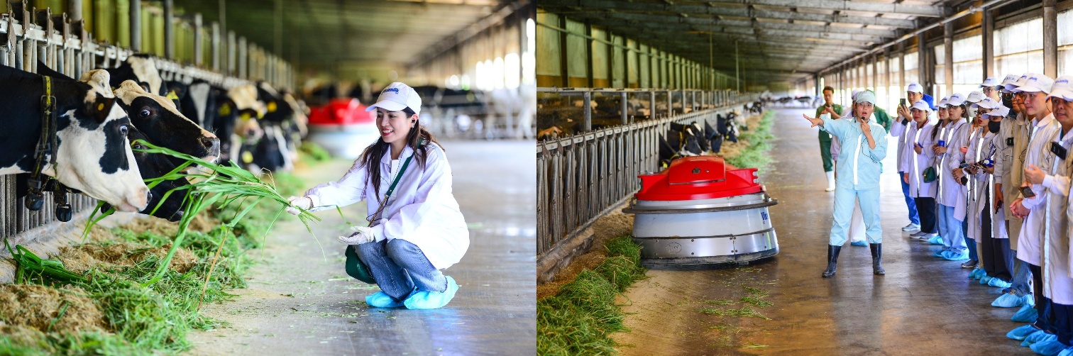 Mở khóa tự nhiên bên trong 