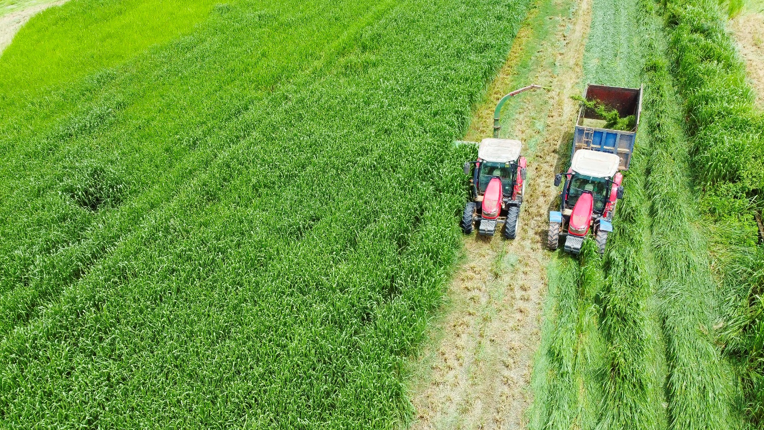 Mở khóa tự nhiên bên trong 