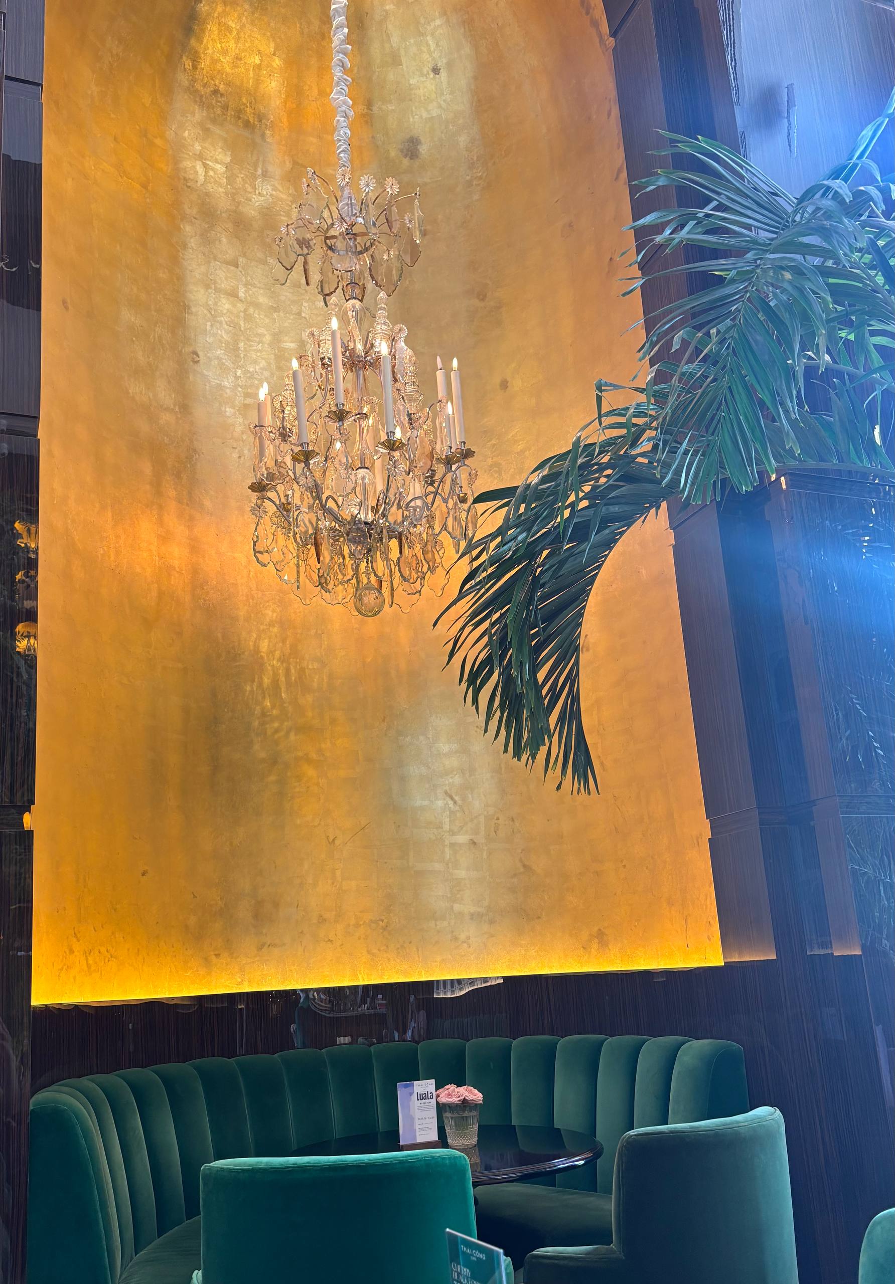 T&igrave;nh trạng kh&ocirc;ng ngờ của qu&aacute;n c&agrave; ph&ecirc; Th&aacute;i C&ocirc;ng- Ảnh 5.