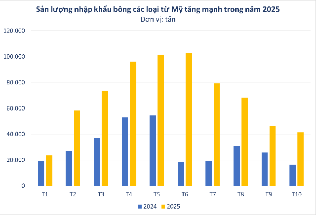 Xuất khẩu sang Trung Quốc trượt dốc, Mỹ tăng mạnh đưa một mặt hàng vào Việt Nam, giá cực rẻ- Ảnh 2.