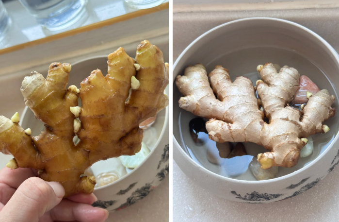 Không ngờ củ gừng bé xíu trong bếp lại là "bảo bối" phong thủy, giúp cả nhà tôi tránh nồm ẩm mốc, đón vượng khí!- Ảnh 2.