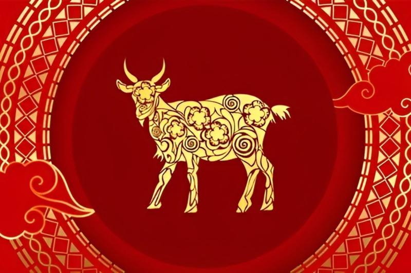 Tổng quan tử vi tuổi Mùi năm 2026- Ảnh 2.