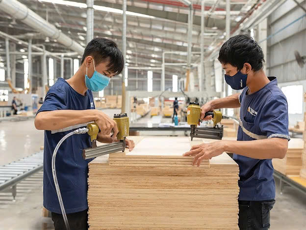 Ng&agrave;nh gỗ chuyển đổi k&eacute;p để tho&aacute;t gia c&ocirc;ng- Ảnh 5.