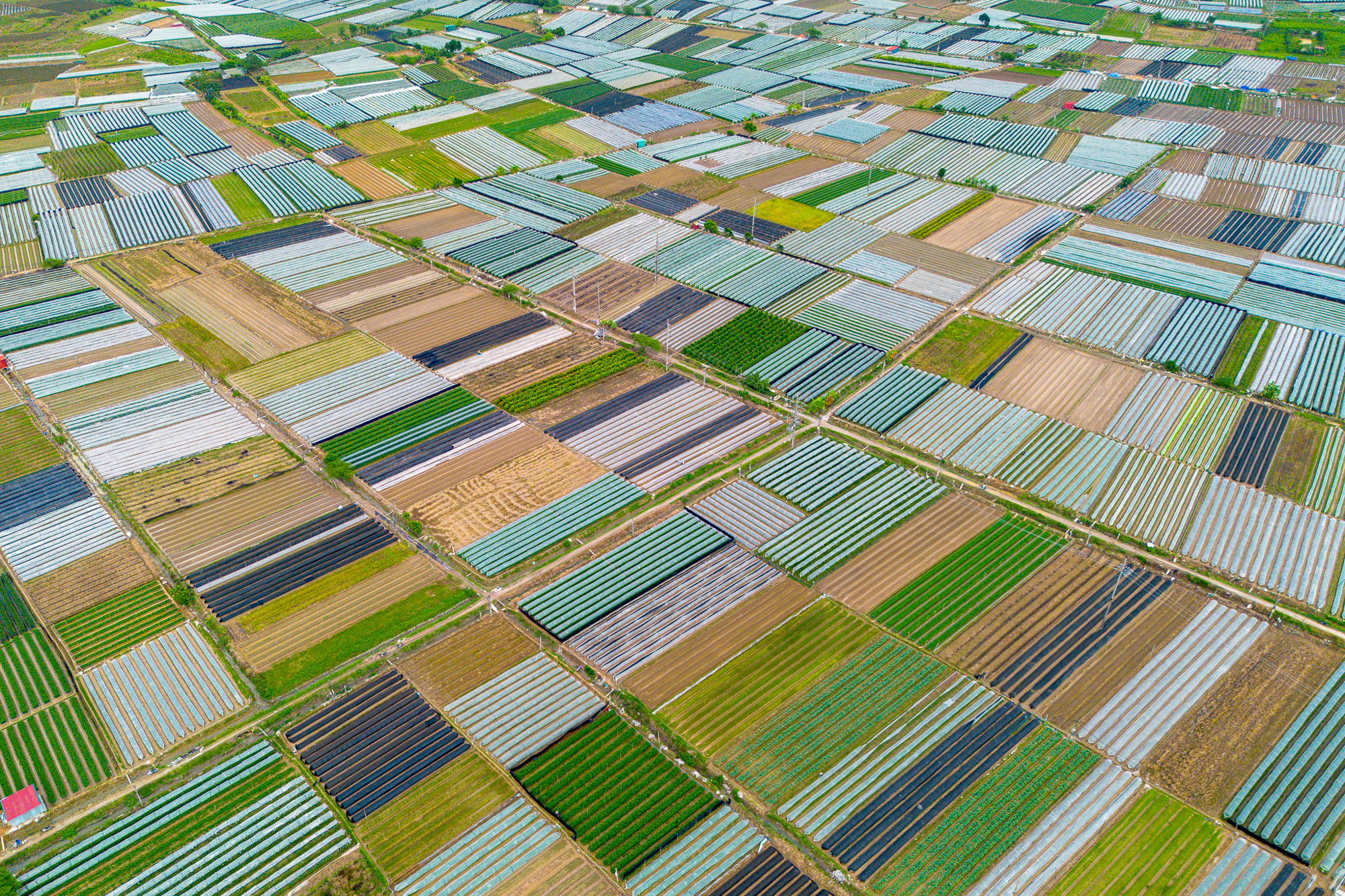 Thay bạn đi xem khu đất rộng hơn phường Hoàn Kiếm, sẽ được Sun Group đầu tư 15.000 tỷ ở điểm nóng Mê Linh- Ảnh 14.