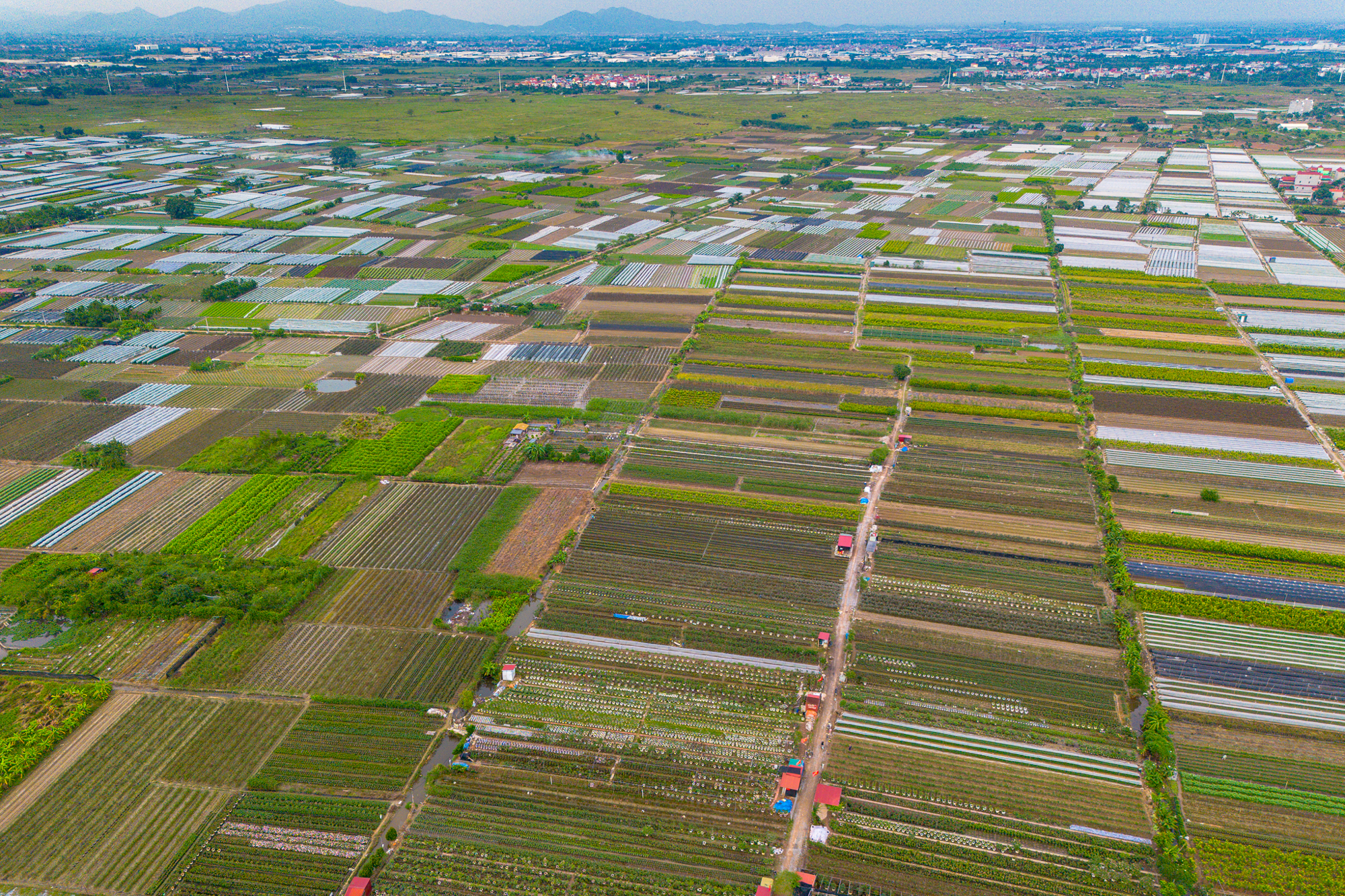 Thay bạn đi xem khu đất rộng hơn phường Hoàn Kiếm, sẽ được Sun Group đầu tư 15.000 tỷ ở điểm nóng Mê Linh- Ảnh 7.