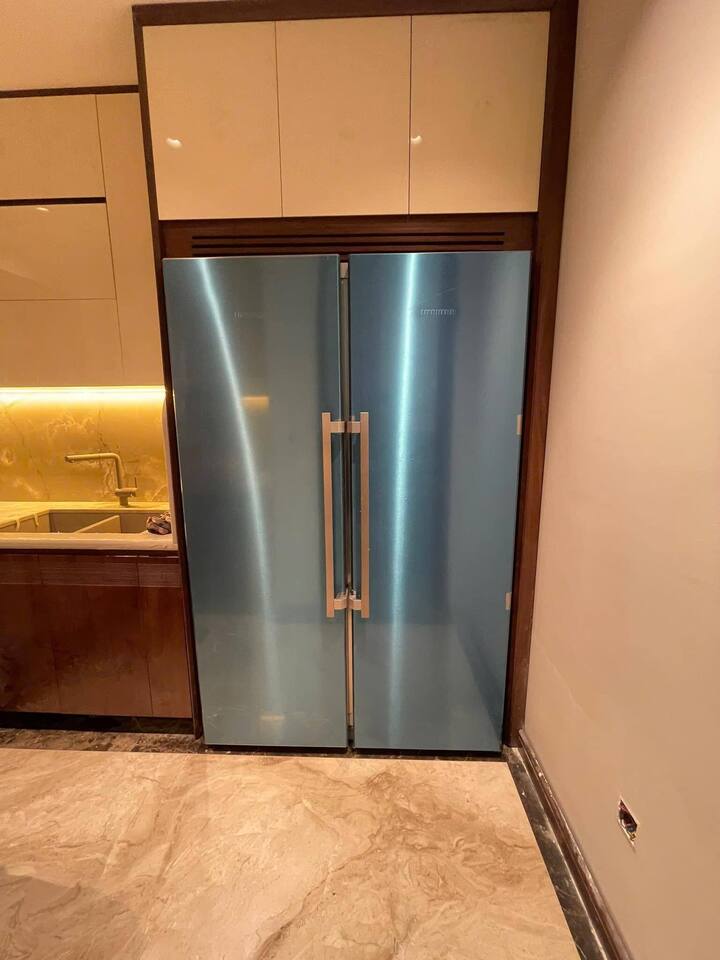 Cận cảnh tủ lạnh đắt hơn ô tô, nồi cơm điện 44 triệu đồng phục vụ khách nhà giàu- Ảnh 3.