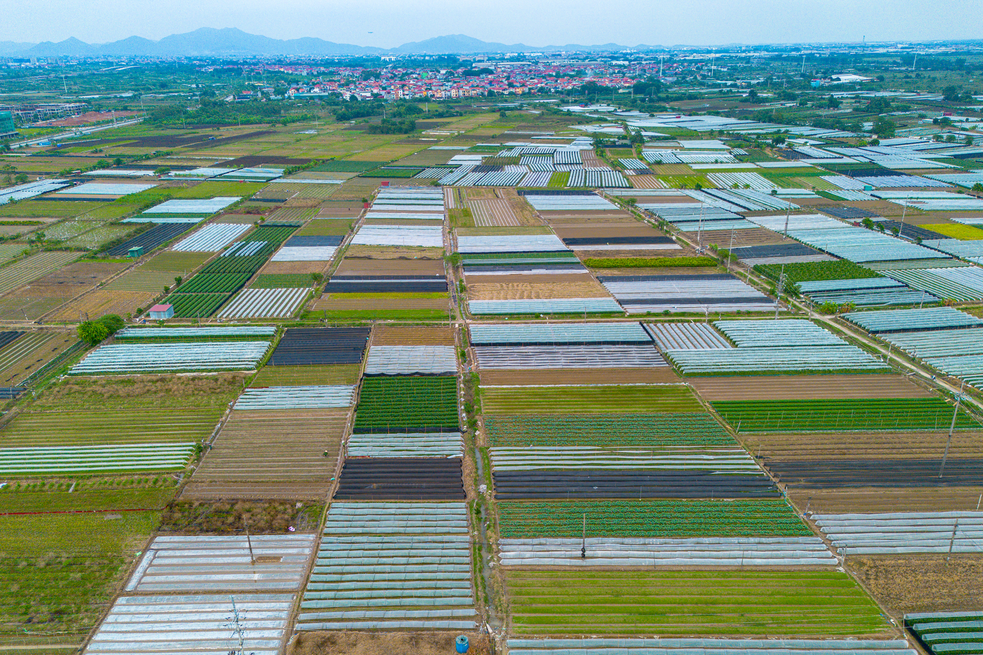 Thay bạn đi xem khu đất rộng hơn phường Hoàn Kiếm, sẽ được Sun Group đầu tư 15.000 tỷ ở điểm nóng Mê Linh- Ảnh 9.