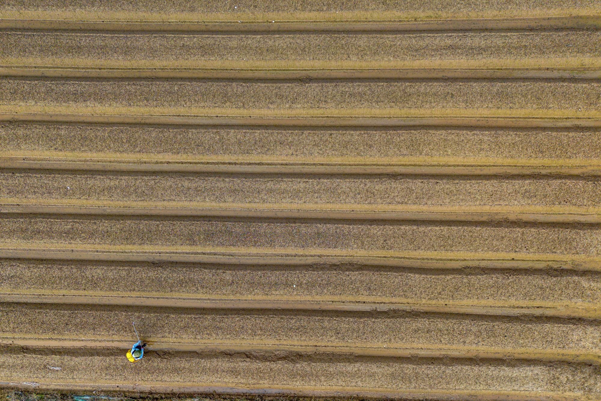 Thay bạn đi xem khu đất rộng hơn phường Hoàn Kiếm, sẽ được Sun Group đầu tư 15.000 tỷ ở điểm nóng Mê Linh- Ảnh 11.