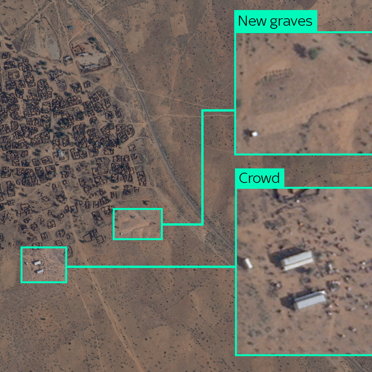 Thực hư những "c&aacute;nh đồng h&atilde;i h&ugrave;ng" ở Sudan?- Ảnh 3.